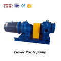 Electric roots vacuum pump